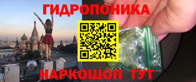 гидропоника Гусь-Хрустальный