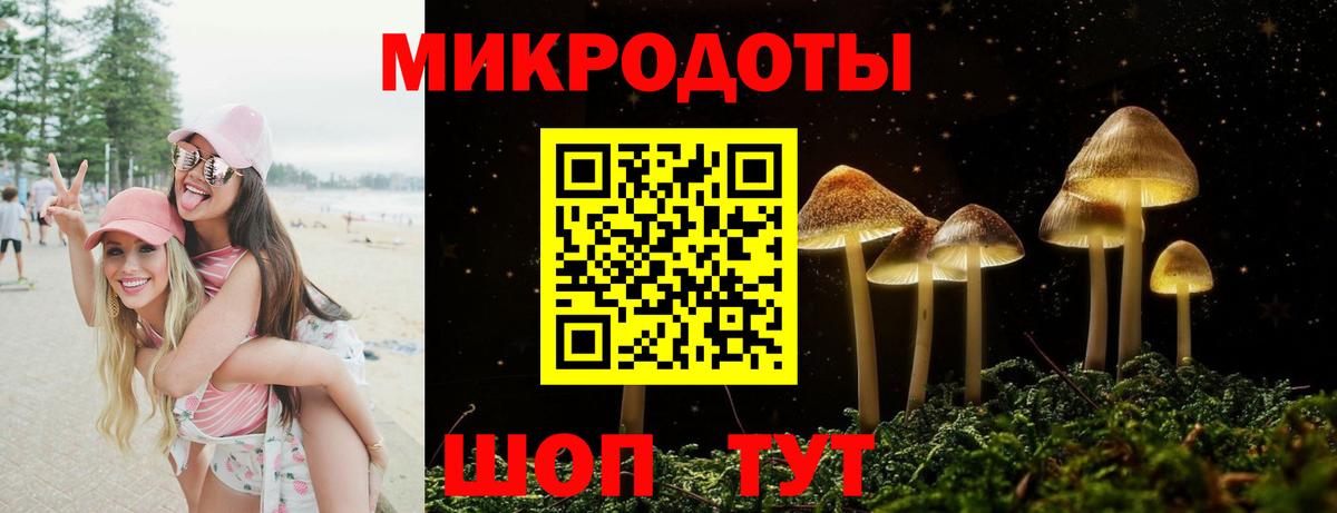 Нурлат  Псилоцибиновые грибы Psilocybe  Вход с VPN 