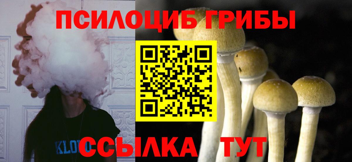 Галлюциногенные грибы MAGIC MUSHROOMS Нурлат